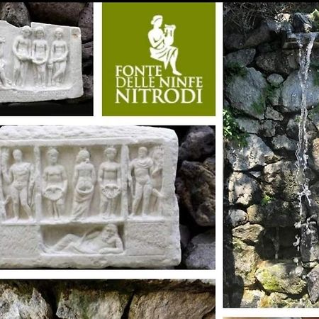 Appartamento Il giardino Barano dʼIschia Esterno foto